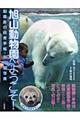 旭山動物園へようこそ!