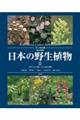 日本の野生植物 2 改訂新版