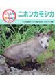 くらべてみよう!どうぶつの赤ちゃん第2期 17