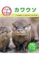 くらべてみよう!どうぶつの赤ちゃん第3期 23
