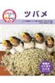 くらべてみよう!どうぶつの赤ちゃん第3期 25