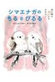 シマエナガのちるとぴるる