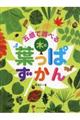 五感で調べる木の葉っぱずかん