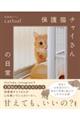 保護猫チャイさんの日常