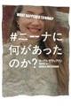 #ニーナに何があったのか?