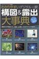 �킩��₷���f�W�^�����\�}���I�o�厖�T