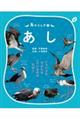 鳥のふしぎ 3