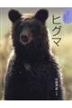 ヒグマ