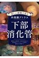 美しい画像で見る内視鏡アトラス 下部消化管