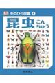 昆虫