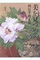美を見つめて 岡信孝画文集