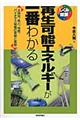再生可能エネルギーが一番わかる