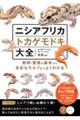 ニシアフリカトカゲモドキ大全