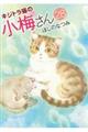 キジトラ猫の小梅さん 28