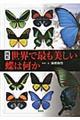 図鑑世界で最も美しい蝶は何か