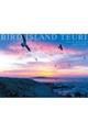 BIRD ISLAND TEURI