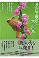 田んぼで出会う花・虫・鳥