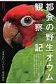 都会の野生オウム観察記