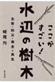 ここがすごい!水辺の樹木