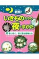 観察!いきものたちの夜のすがた 3