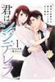 君はシンデレラ〜孤高な御曹司が絶え間なく愛を注ぐ理由〜 1