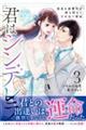 君はシンデレラ〜孤高な御曹司が絶え間なく愛を注ぐ理由〜 3