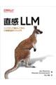 直感 LLM