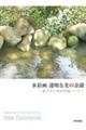 水彩画 透明な光の余韻