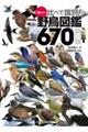 ♪鳥くんの比べて識別!野鳥図鑑670 第4版