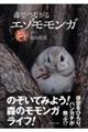 森でつながる エゾモモンガ