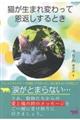 猫が生まれ変わって恩返しするとき