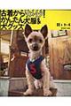 �Ò����烊���C�N�I���񂽂񌢕������O�b�Y