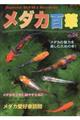 メダカ百華 VOL.04