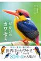 せかいのカワセミ