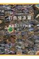 岩魚曼荼羅