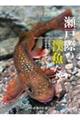 瀬戸際の渓魚たち辺境の山河と在来魚を巡る旅