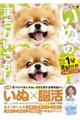 毎日脳活スペシャル いぬのまちがいさがし ポメラニアンてんこ盛りの巻