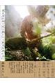 僕は夏の畑で、生き物たちと野菜を奪い合う