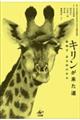 キリンが来た道