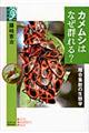 カメムシはなぜ群れる?