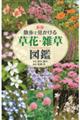 散歩で見かける草花・雑草図鑑 新版