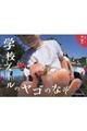学校プールのヤゴのなぞ