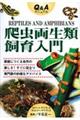 Q&Aマニュアル爬虫両生類飼育入門 2刷
