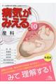 病気がみえる vol.10 第4版