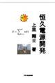 恒久電源開発