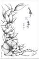 人は眠り花は歩き