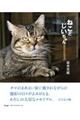 ねことじいちゃん