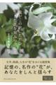 鬼がこの世にただひとり、生きた証を刻みつける花