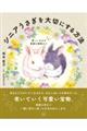 シニアうさぎを大切にする方法