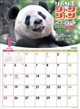 �W�����{�u�V�����V�����v�X�P�W���[���@2026�N�J�����_�[